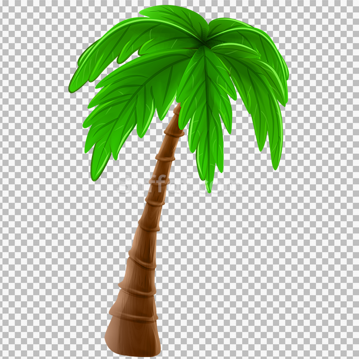 صورة شجرة نخلة كرتون palm tree cartoon png