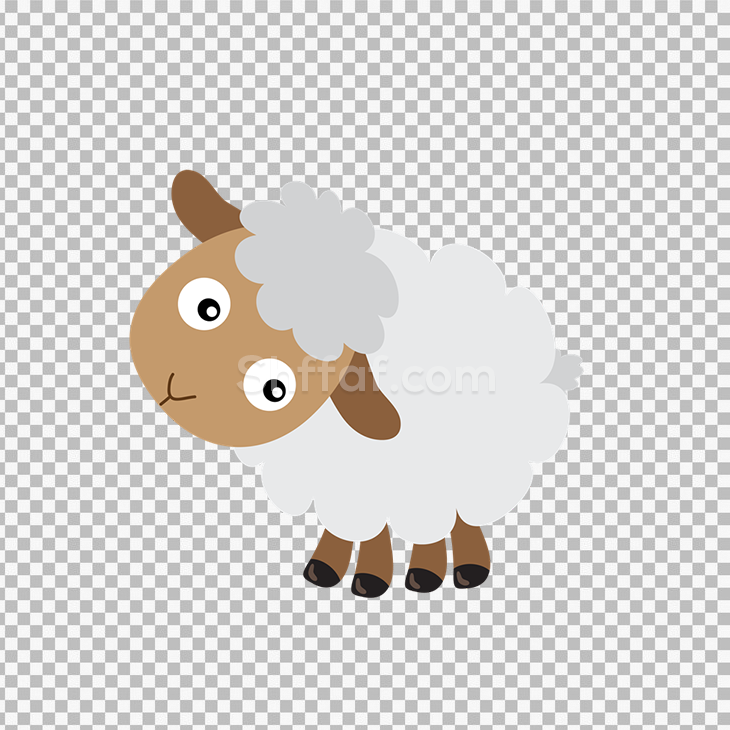 خروف صغير فيكتور كرتون sheep vector png