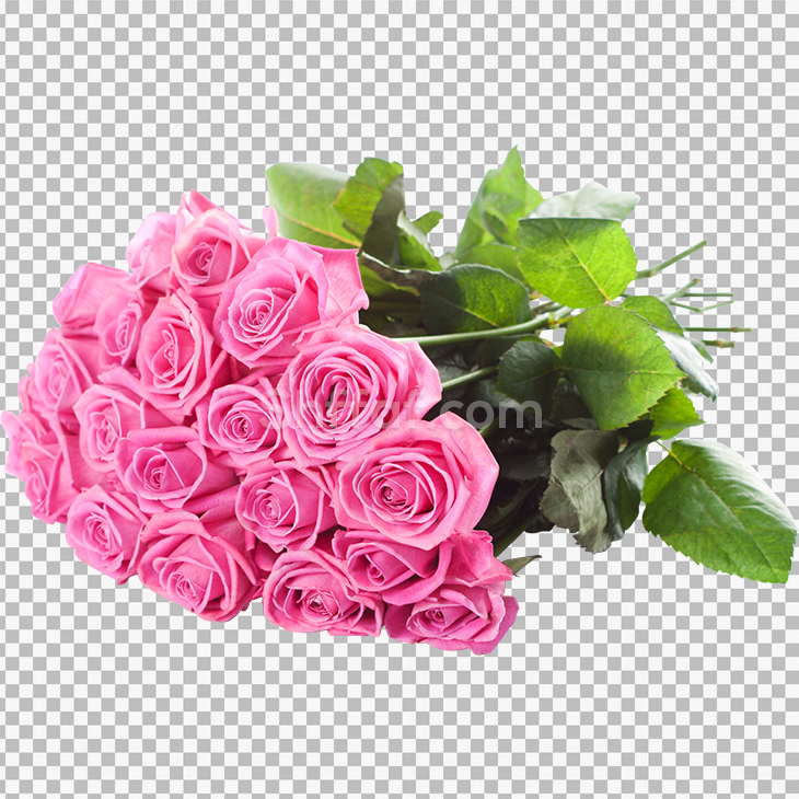 بوكيه ورود زهري جميل bouquet of pink flowers png