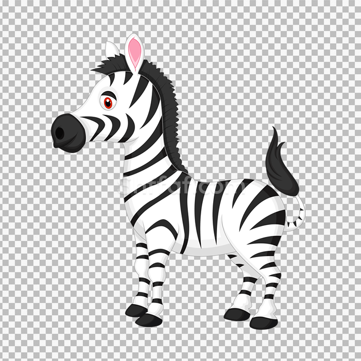 صورة حمار وحشي رسوم متحركة zebra cartoon png