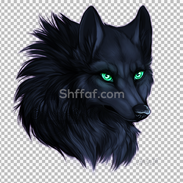 شعار ثعلب اسود حقيقي بدون خلفية black wolf png