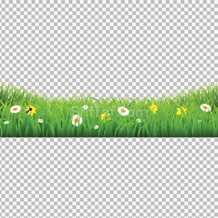 حشائش خضراء مع ورود بدون خلفية flower grass green png