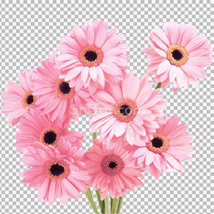 بوكيه ورود زهري لطيف flowers pink bouquet png