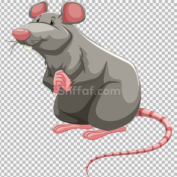 صورة فأر رمادي رسوم بدون خلفية mouse cartoon png