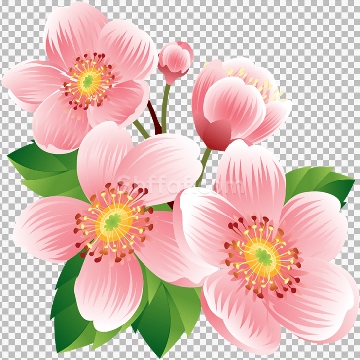 زهور جميلة لون زهري بدون خلفية flowers bouquet PNG