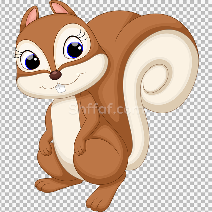 صورة سنجاب كرتون لطيف Squirrel cute png