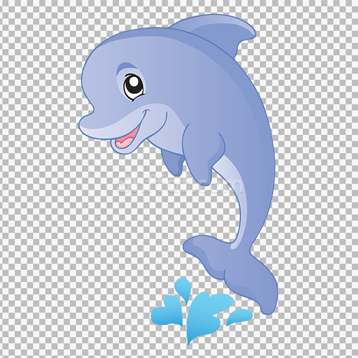 صورة دولفين صغير يلعب في الماء dolphin cartoon png