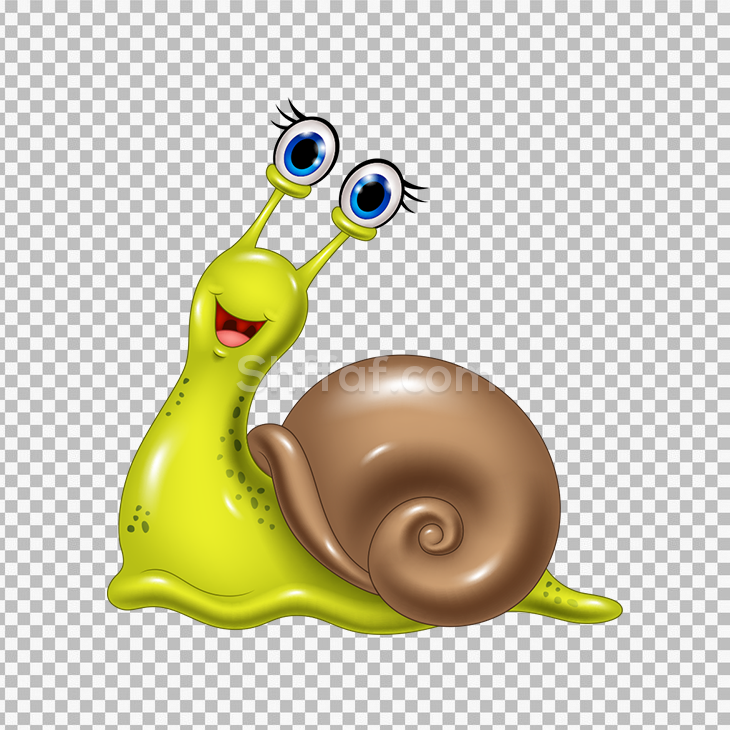 صورة حلزونة كرتون جميلة snail cartoon png