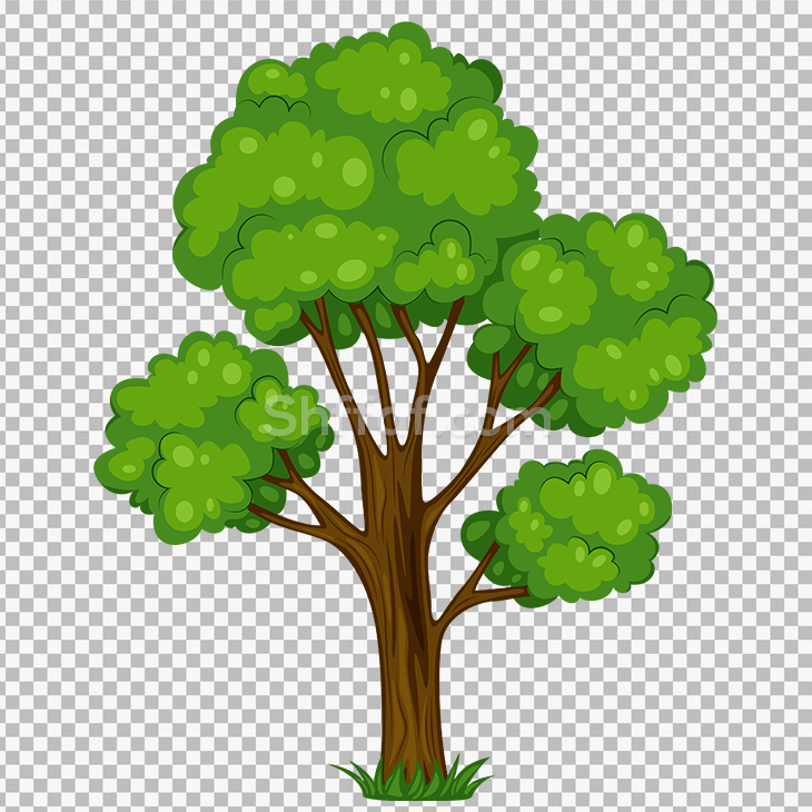 صورة شجرة خضراء جميلة كرتون tree cartoon png